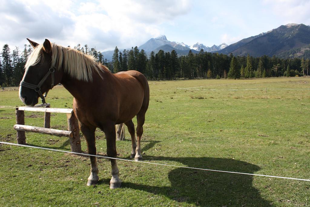 Penzion Koliba Vysoké Tatry 外观 照片